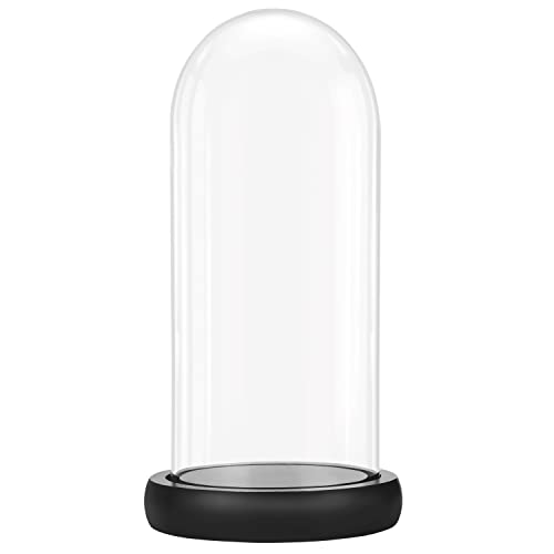 BELLE VOUS Campana in vetro con base nera in legno, alta 26,5 cm, campana in vetro trasparente con piano per lampade LED, centrotavola e antiquariato